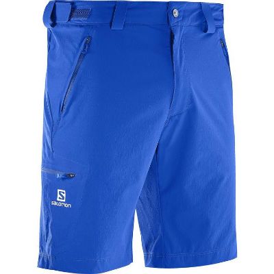 Salomon Wayfarer Herrshorts
