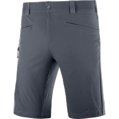 Salomon Wayfarer Herrshorts Grey