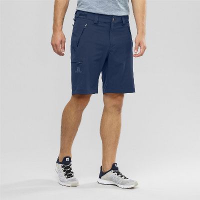 Salomon Wayfarer Herrshorts