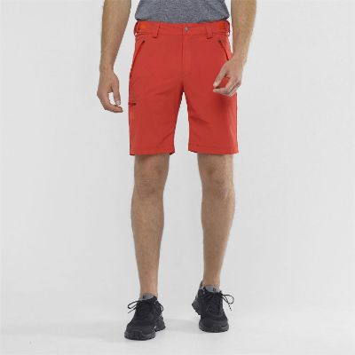 Salomon Wayfarer Herrshorts
