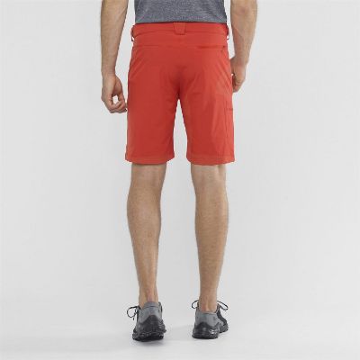 Salomon Wayfarer Herrshorts