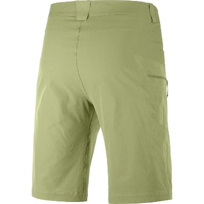 Salomon Wayfarer Herrshorts