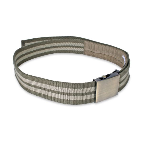 Money-belt-25856.jpg