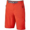 Montane-Terra-Alpine-Shorts-86801.jpg