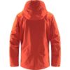 Haglofs-Astral-Jacket-GTX-Men-86153.jpg