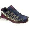 Salomon-XA-Pro-3D-v8-GTX-W-78498.jpg