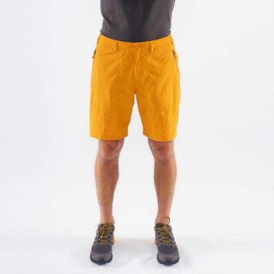 Montane Terra shorts