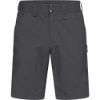 Haglofs-Mid-Standard-Shorts-Men-87463.jpg