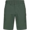 Haglofs-Mid-Standard-Shorts-Men-87510.jpg