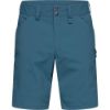 Haglofs-Mid-Standard-Shorts-Men-87509.jpg