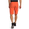 Haglofs-LIM-Strive-Lite-Shorts-Men-87526.jpg