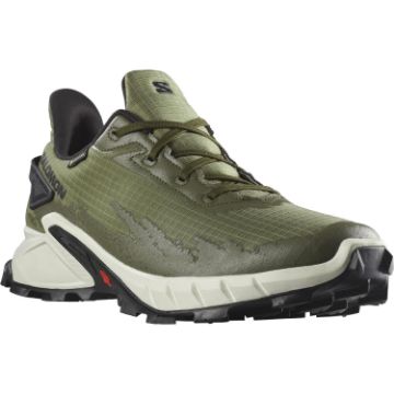 Salomon-Alphacross-4-GTX-89285.jpg