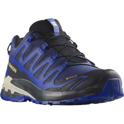 Salomon Xa Pro 3D V9 GTX